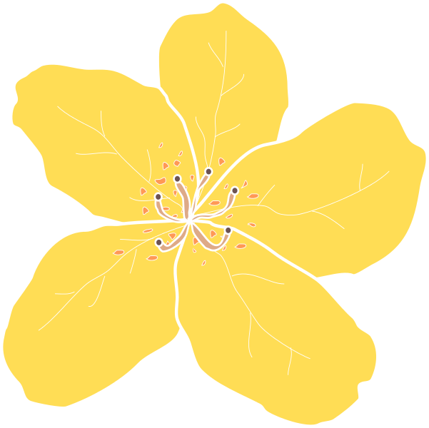illustrazione vettoriale di fiore 1