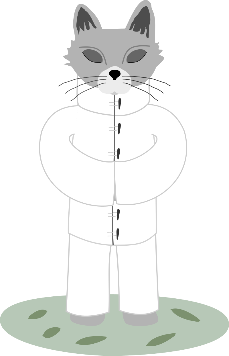 Gatto Tai Chi